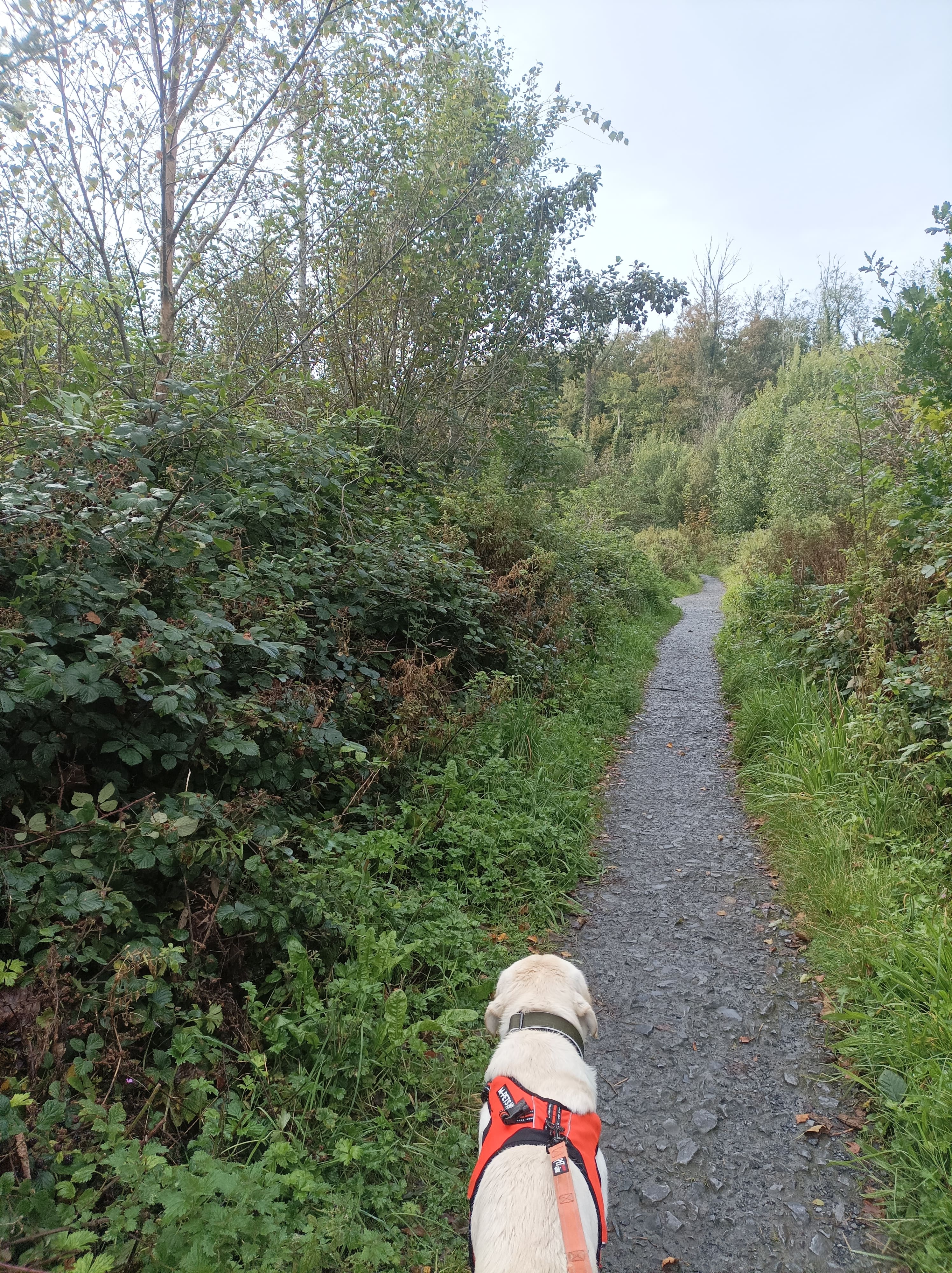Enjoying a walk in Renville.