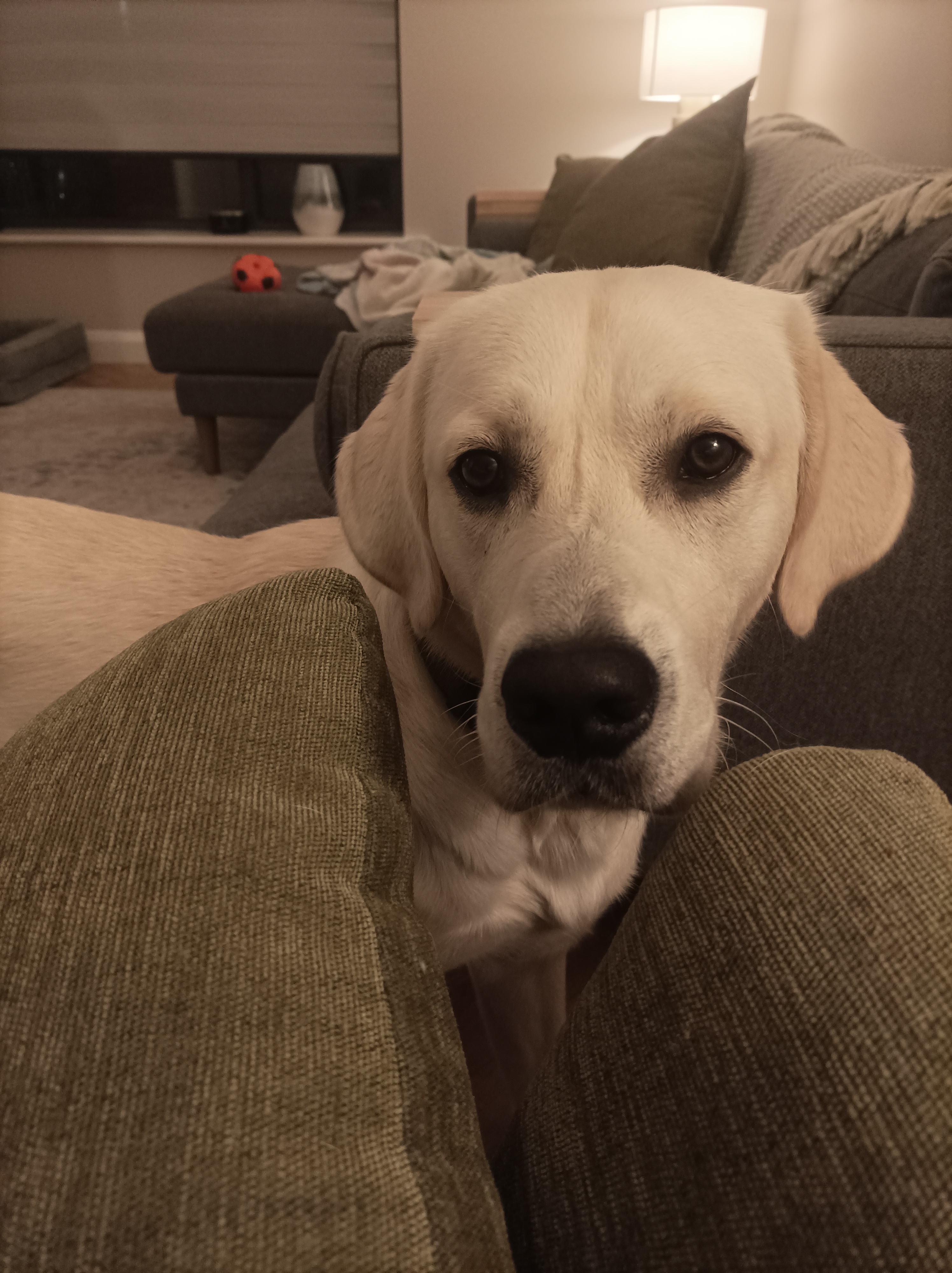 A curious fellow.